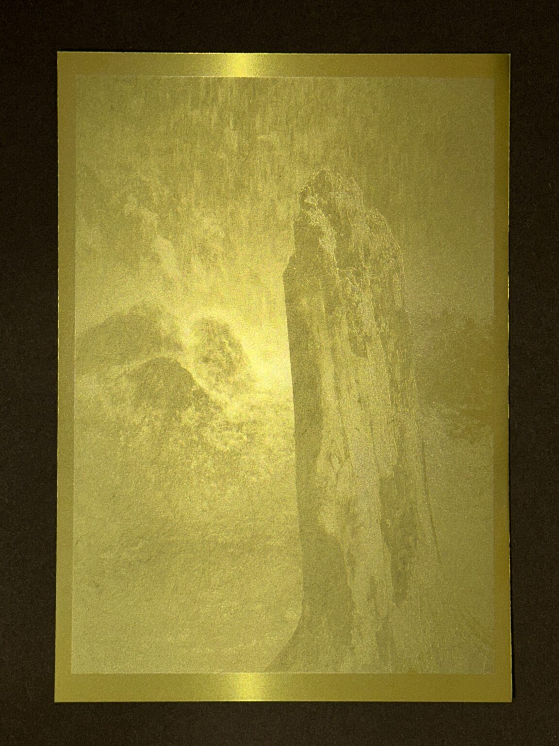 Image of developed polymer plate